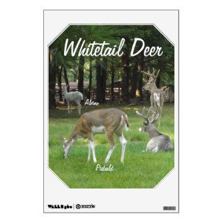 Albino Piebald Whitetail Deer Family Wall Decals