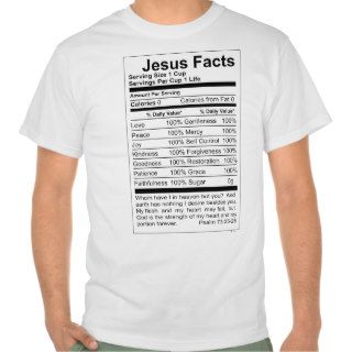 JESUS FACTS MEN'S ORIGINAL THRIFTY TEE