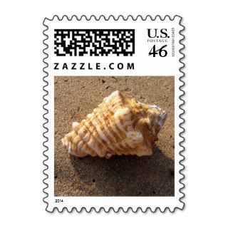 Conch Sea Shell Sand Beach Photo Postage Stamps