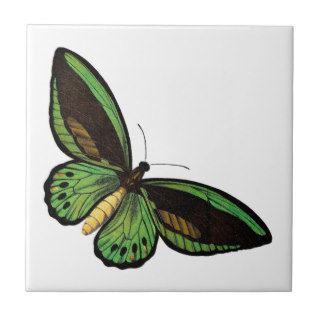 Beautiful Green Butterfly Tiles