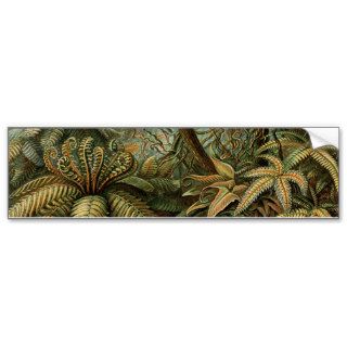 Vintage Ferns and Palm Tree Botanical Bumper Sticker
