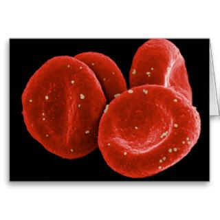 Red Blood Cells 2 Greeting Card