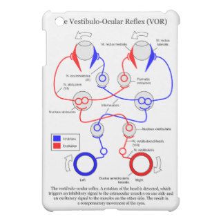 Vestibulo Ocular Reflex VOR Eye Movement Stabilize iPad Mini Covers