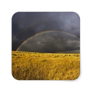 A rainbow appearing through a misty after noon square stickers