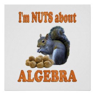 Nuts About Algebra Posters