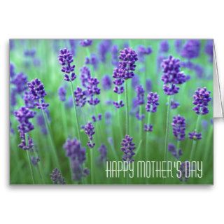 Lavender Field, Mother's Day Greeting Card