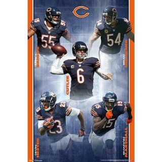 (22x34) Chicago Bears 2012 13 Team Football Poster   Prints