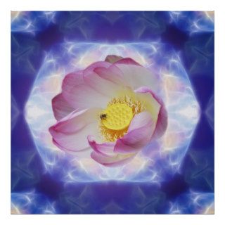 Pink lotus flower poster