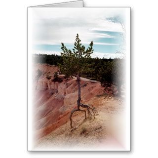 Standing Alone at Bryce Canyon Greeting Card