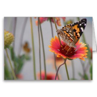 All Occasions Butterflies Greeting Card