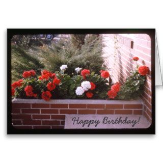 Vintage Red and White Geranium Greeting Card