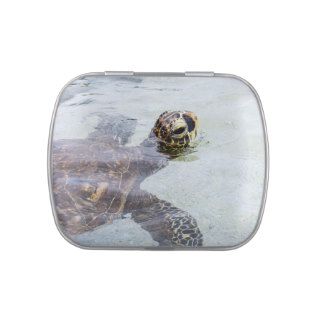 Honu Hawaiian Sea Turtle   Hawaii Turtles Jelly Belly Tins