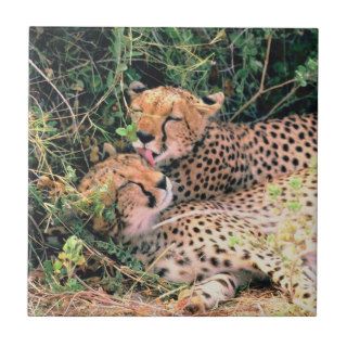 Mother Cheetah and Cubs Ceramic Tile