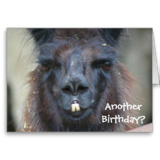 Black Llama Animal Funny Birthday Card