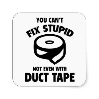 You Can’t Fix Stupid. Not Even With Duct Tape. Sticker