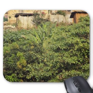 Focus on foreground trees. Jungle village near Mousepad
