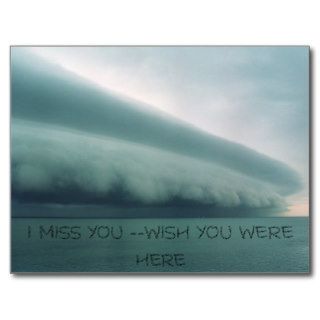 Storm, I MISS YOU   WISH YOU WERE HERE Post Card