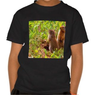 Squirrel Whats Happening Ground T Shirts