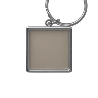 Taupe Brown Tan Solid Trend Color Background Keychains