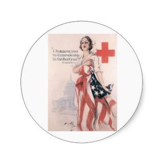 I Summon you to Comradeship  Nurse Nursing Stickers