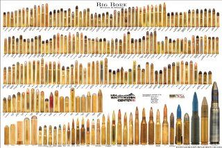 BIG BORE (Standard & Obsolete)   Bullet Poster (Cartridge Comparison Chart) Sports & Outdoors