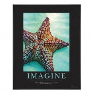 Successories Imagine Starfish Motivational Poster   Prints