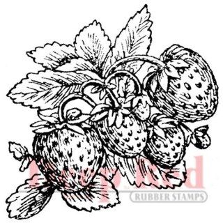 Strawberries Rubber Stamp Electronics
