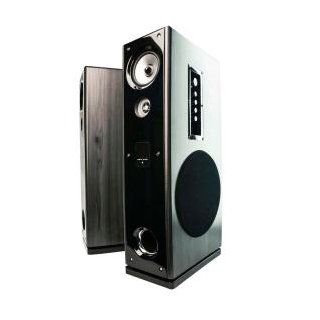 Eagle Tech, USA ET AR602R BK 45Hz to 20kHz 180 Watts Peak Floor Standing Powered Speakers with Remote Control and Karaoke Input (Black/Gray, Set of 2) Electronics