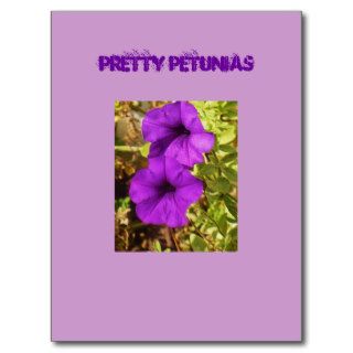 Pretty Petunias Post Cards