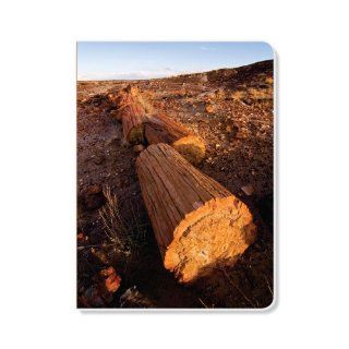 ECOeverywhere Petrified Log Crystals Journal, 160 Pages, 7.625 x 5.625 Inches, Multicolored (jr14294)  Hardcover Executive Notebooks 