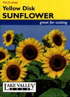Lake Valley 643 Sunflower Yellow Disk Seed Packet  Flowering Plants  Patio, Lawn & Garden