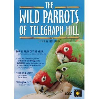 The Wild Parrots of Telegraph Hill Mark Bittner, Judy Irving, Chris Michie Movies & TV