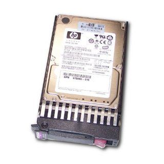 507119 004   HP 300GB 6G SAS 10K SFF DP ENT Computers & Accessories