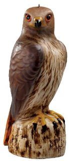 Red Tail Hawk Decoy by Miles Kimball Toys & Games