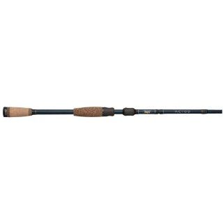 Fenwick Aetos 2 Pc. Spinning Rod  Spinning Fishing Rods  Sports & Outdoors