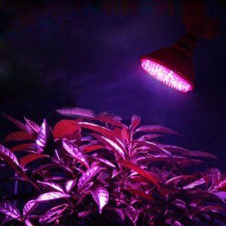 E27 110V 80LED 3.8W Red Blue Plant Grow Light Bulb Indoor Garden Hydroponic Lamp