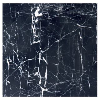 MSI 18 x 18 Polished Marble Tile in