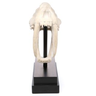 Design Toscano Saber Toothed Tiger Skull Artifact Figurine