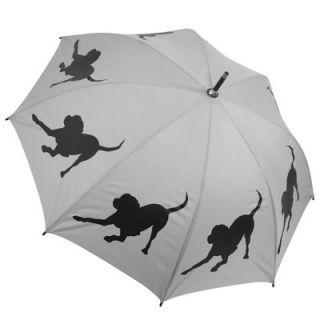 The San Francisco Umbrella Company Dog Park Labrador Retriever Walking