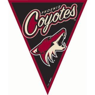 banner pennant phoenix coyotes Toys & Games