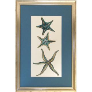 Indigo Avenue Seaside Living Aquamarine Starfish I Framed Wall Art