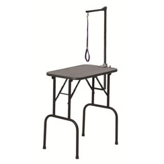 Midwest Homes For Pets Grooming Table with Arm