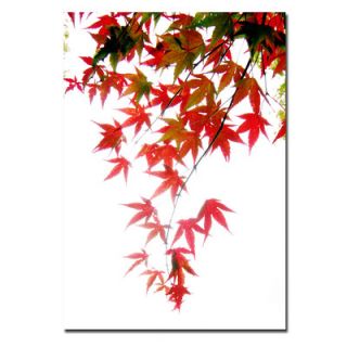 Trademark Art Japanese Maple Leaves Canvas Art