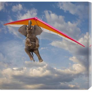 Global Gallery Flying Elephant by John Lund Stretched Canvas Art