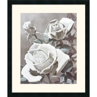 Amanti Art Glowing White Rose by Curtis Parker Framed Painting Print