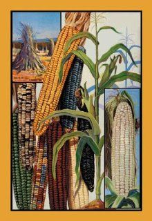 Indian Corn 20x30 poster Toys & Games
