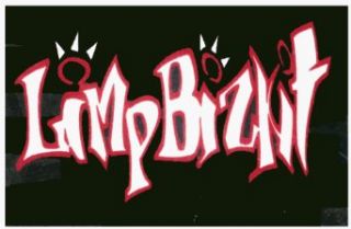 Limp Bizkit   Logo   Lucite Keychain Novelty Keychains Clothing