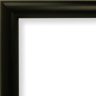 Craig Frames Inc. 0.76 Wide Smooth Picture Frame