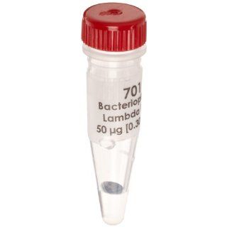 Edvotek 701 Bacteriophage Lambda DNA, 50 micrograms