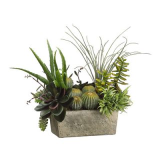 Tori Home Succulents Desk Top Plant in Planter